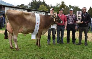 015Schneuter mittlere